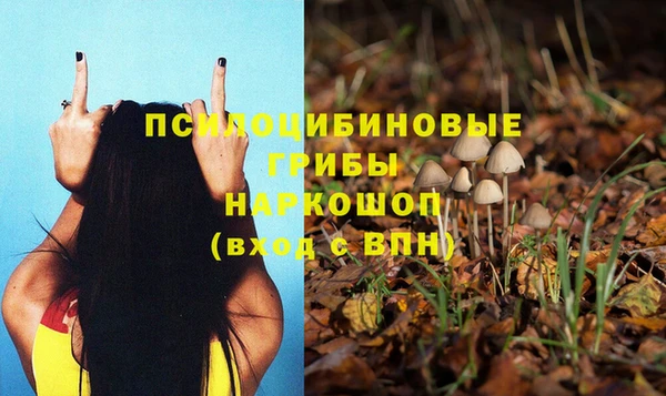 винт Гусиноозёрск