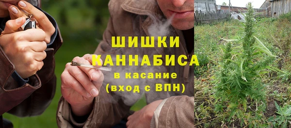 винт Гусиноозёрск