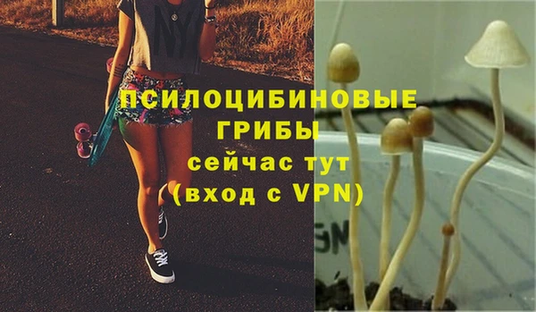 прущая мука Гусь-Хрустальный