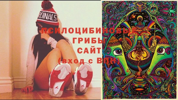 дурь Яранск