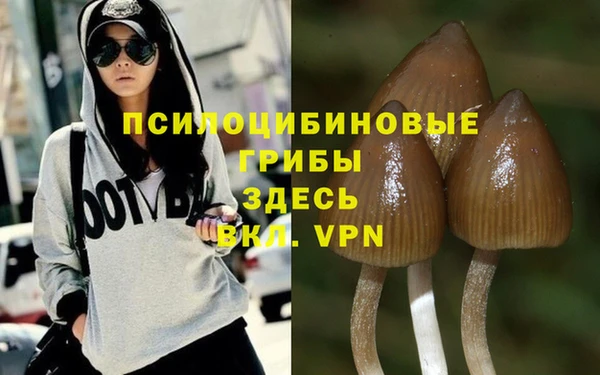 кокаин премиум Гусев