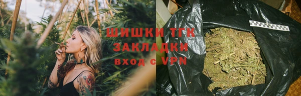 винт Гусиноозёрск